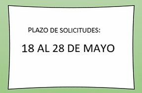 Plazo escolarizacin 2